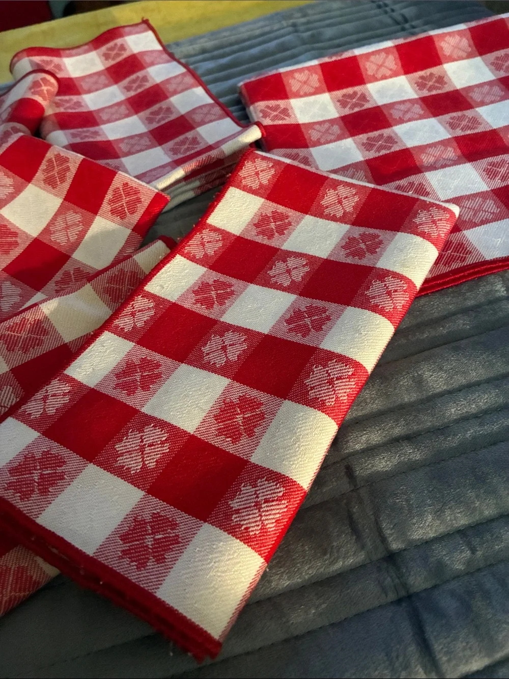 Red Gingham Cotton Napkin Set by